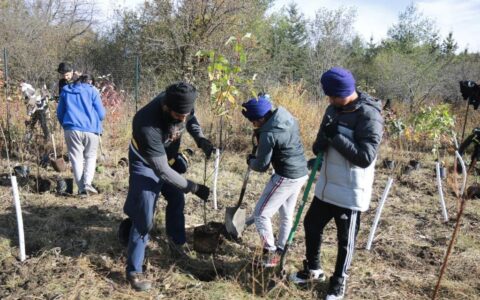 EcoSingh, US-based Sikh organisation, to plant 400 forests in India