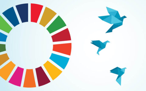 SDGs are compass for EU’s development: European Commission