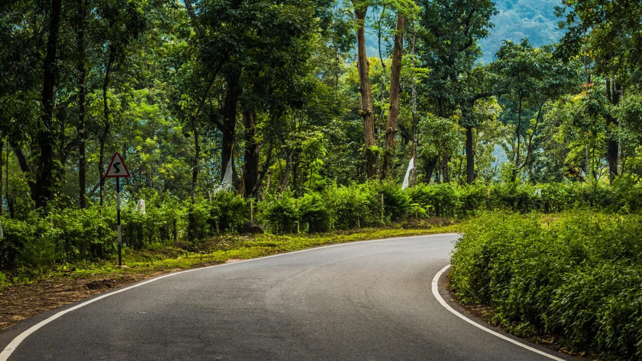 Urban Forests to be constructed in six Jharkhand cities