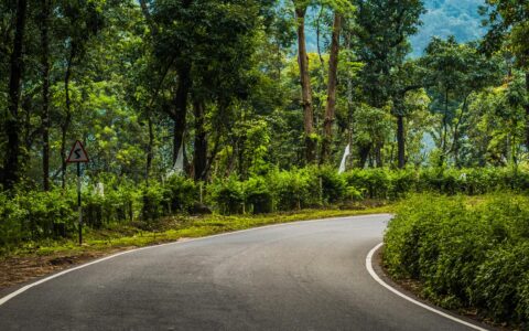 Urban Forests to be constructed in six Jharkhand cities