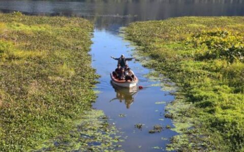 Pala Wetland of Mizoram recognised as Ramsar site