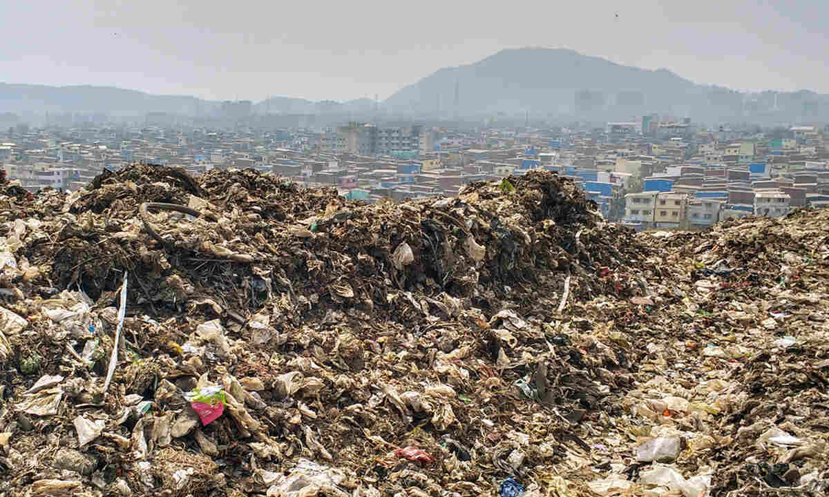 8000 MT waste removed form landfill sites of Delhi