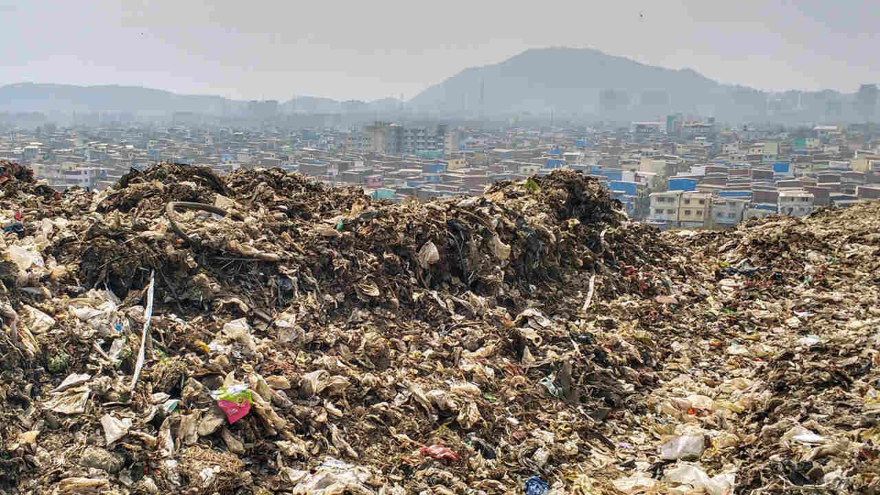 8000 MT waste removed form landfill sites of Delhi