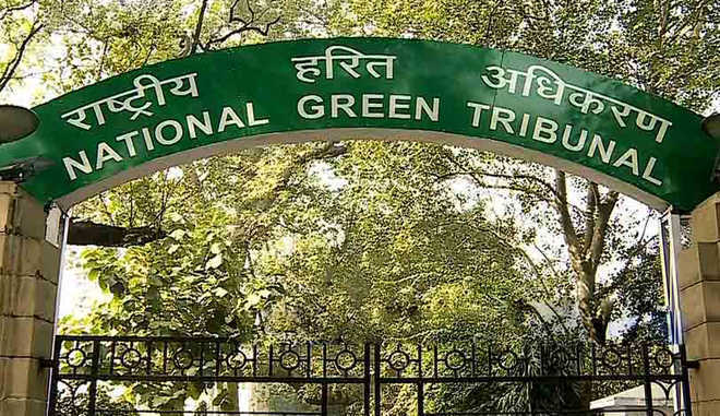 NGT orders Haryana Chief Secy to check violation of environmental laws in Murthal