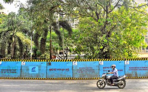 State Tree Authority asks NMC to reassess age of over 1000 trees