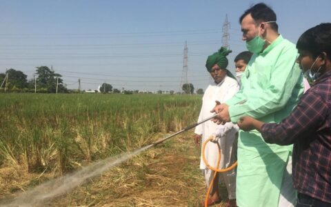 Delhi Govt to spray bio-decomposer on fields to reduce stubble burning