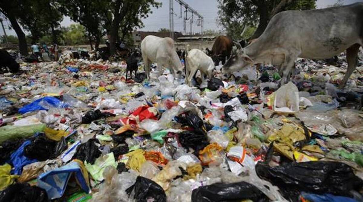 Rs 4.33cr collected from violators of plastic ban in Karnataka