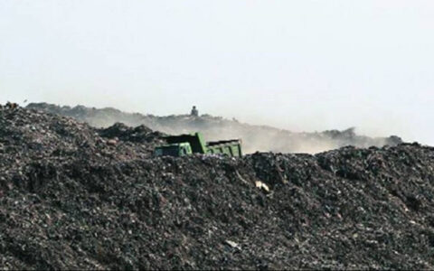 NGT fines Delhi Govt Rs 900 cr for failing in waste management