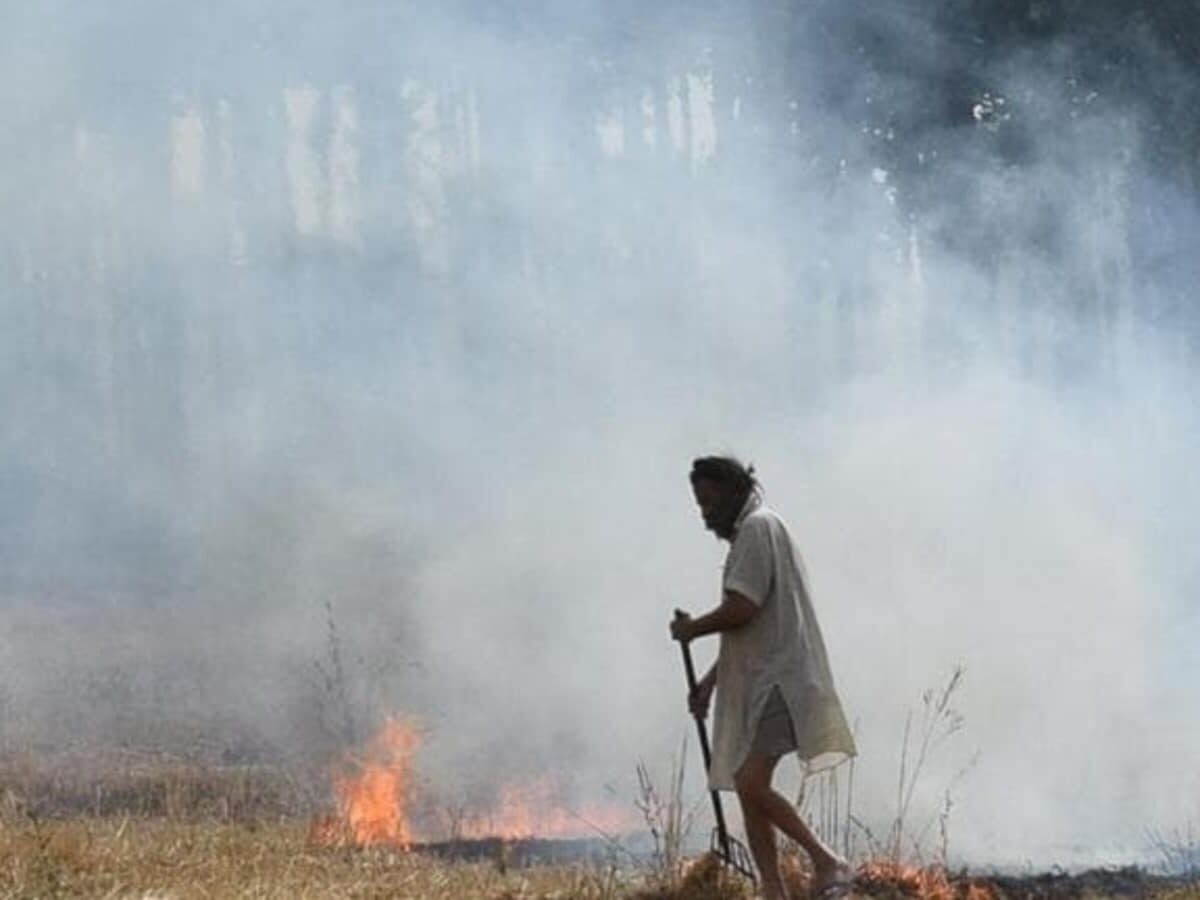 Bhupender Yadav kickstarts initiative to stop stubble burning