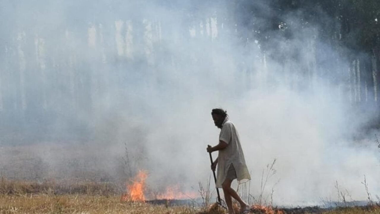 Bhupender Yadav kickstarts initiative to stop stubble burning