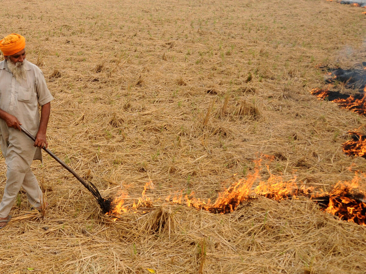Punjab engages farmers to control stubble burning