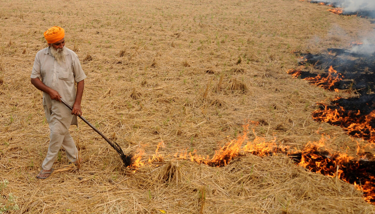 Punjab engages farmers to control stubble burning