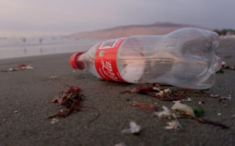 Coca-Cola major plastic polluter in global brand audit