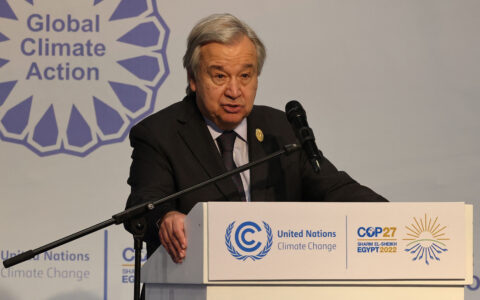 We must have zero tolerance for net-zero greenwashing: UN Chief