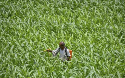India opposes including agriculture under emission mitigation