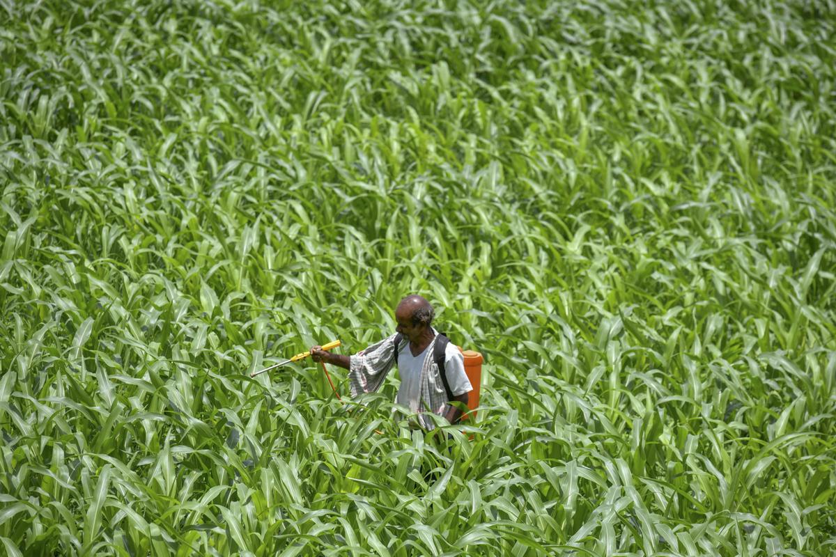 India opposes including agriculture under emission mitigation