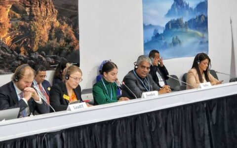 India and Sweden hosted LeadIT Summit 2022 at COP 27