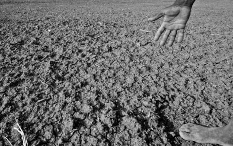 Odisha Govt announced aid for drought affected farmers BHUBANESWAR, Odisha: The Government of Odisha has announced an input assistance of ₹200 crore to the farmers affected due to drought in the state. As per the press release, the government will bear the entire cost of expenditure of about 2,63,560 hectares of cropland in 15 Urban Local Bodies (ULBs) and 64 blocks of 12 districts. More than 33 per cent suffered crop loss and farmers are yet to receive their crop insurance dues, even after continuous pursuance by the state government with the Ministry of Agriculture and Farmers Welfare, Government of India.