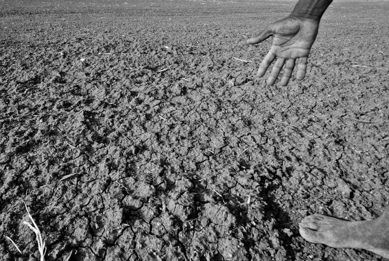 Odisha Govt announced aid for drought affected farmers BHUBANESWAR, Odisha: The Government of Odisha has announced an input assistance of ₹200 crore to the farmers affected due to drought in the state. As per the press release, the government will bear the entire cost of expenditure of about 2,63,560 hectares of cropland in 15 Urban Local Bodies (ULBs) and 64 blocks of 12 districts. More than 33 per cent suffered crop loss and farmers are yet to receive their crop insurance dues, even after continuous pursuance by the state government with the Ministry of Agriculture and Farmers Welfare, Government of India.