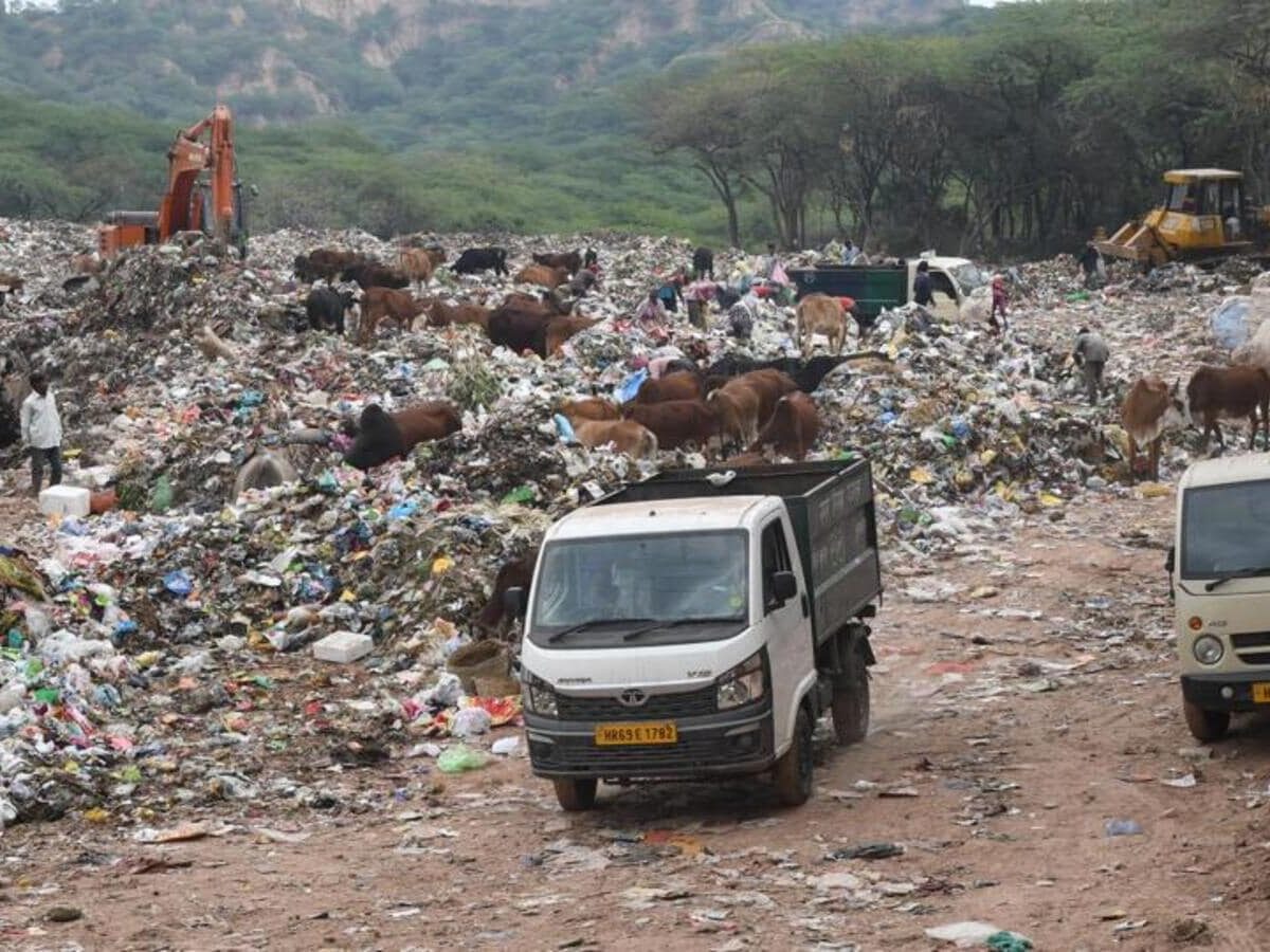 Panchkula ULB inform HC: No waste being dumped at Jhuriwala