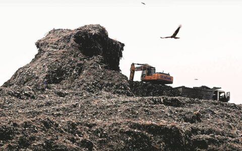 Ferozepur district clears 7,911 MT legacy waste