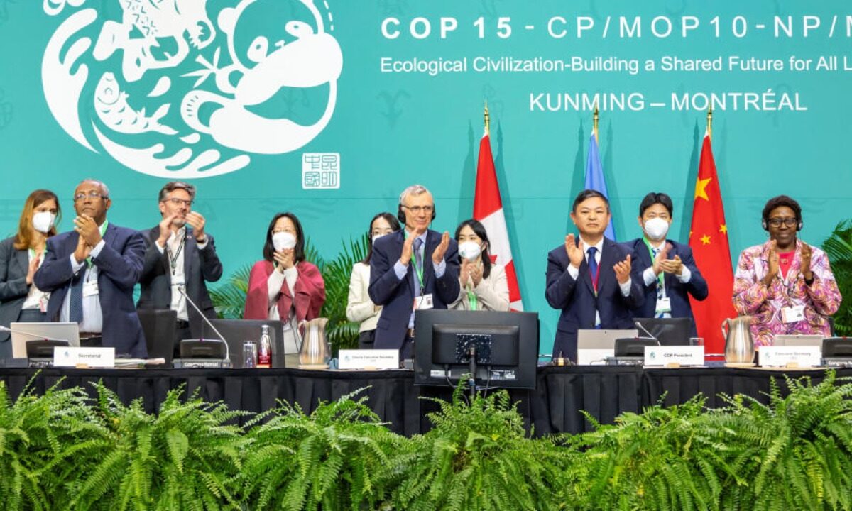 MONTREAL, Canada: The countries have reached a consensus resulting in a historic deal on Monday, December 19, at the 15th Conference of Parties (COP15) held in Montreal, Canada, regarding the conservation of land, ocean, and providing finance for the conservation of biodiversity in the developing countries.