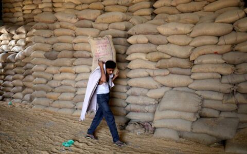 India to reduce spending on food and fertilizer subsidies by $17 billion