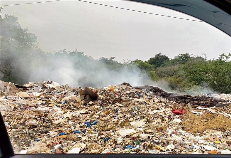 Garbage lifting comes to a halt in Faridabad due to pending payments
