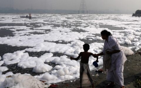 Committee identifies 3 more focus areas to expedite Yamuna cleaning