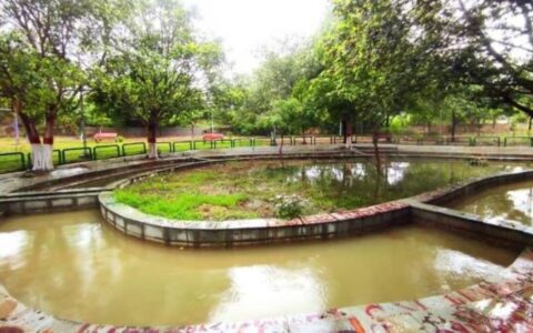 Delhi HC: Focus on rainwater harvesting for climate resilient planning