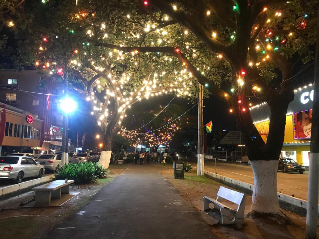 Contractor wraps trees in artificial lights, PCMC swings into action