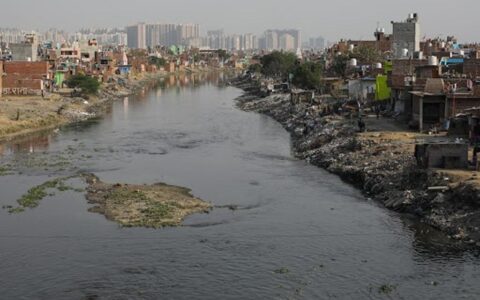 NGT orders FIR against officials for failing to abate pollution in Hindon River