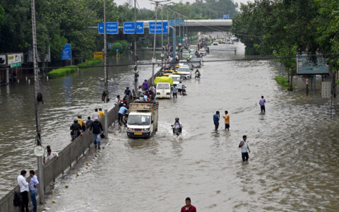 Delhi HC seeks status report on drainage master plan from govt