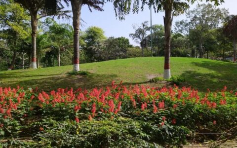 DDA maintains 924 parks in Delhi; 18 available for events