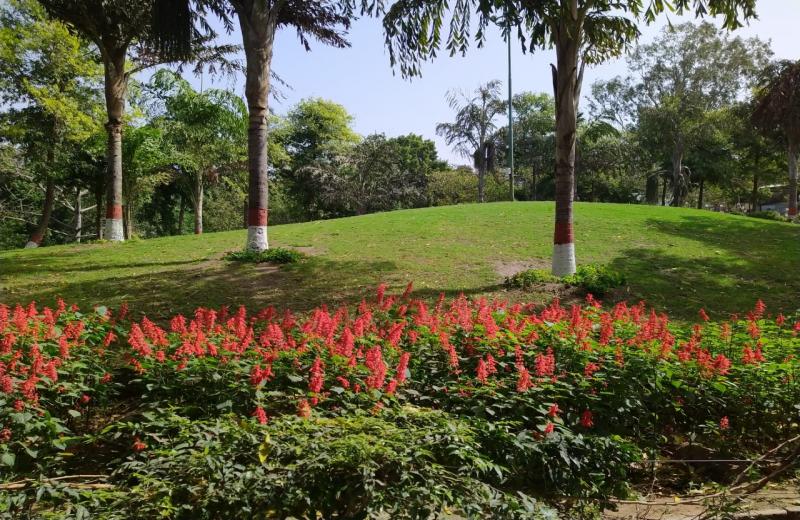 DDA maintains 924 parks in Delhi; 18 available for events