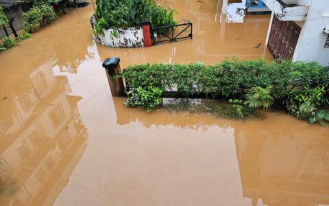 DISPUR, Assam: Assam’s Guwahati city recorded this year’s highest single-day rainfall—a total of 78.4 mm of rainfall in 24 hours.