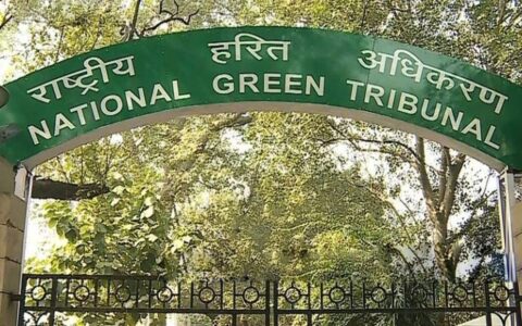 NGT to charge ₹50,000 for dumping waste in unauthorised areas in UP