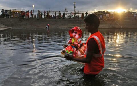 DPCC bans idol immersion in water bodies in Delhi