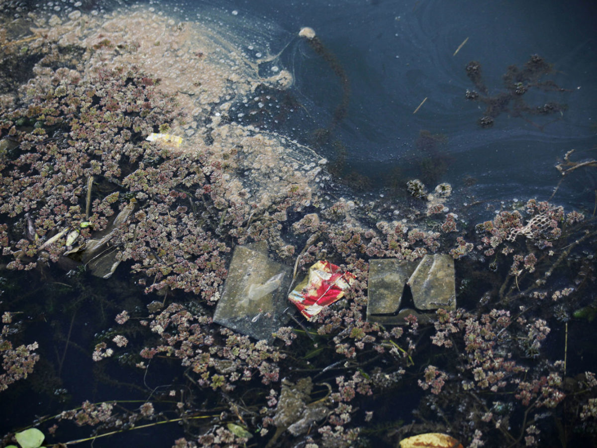 lake pollution