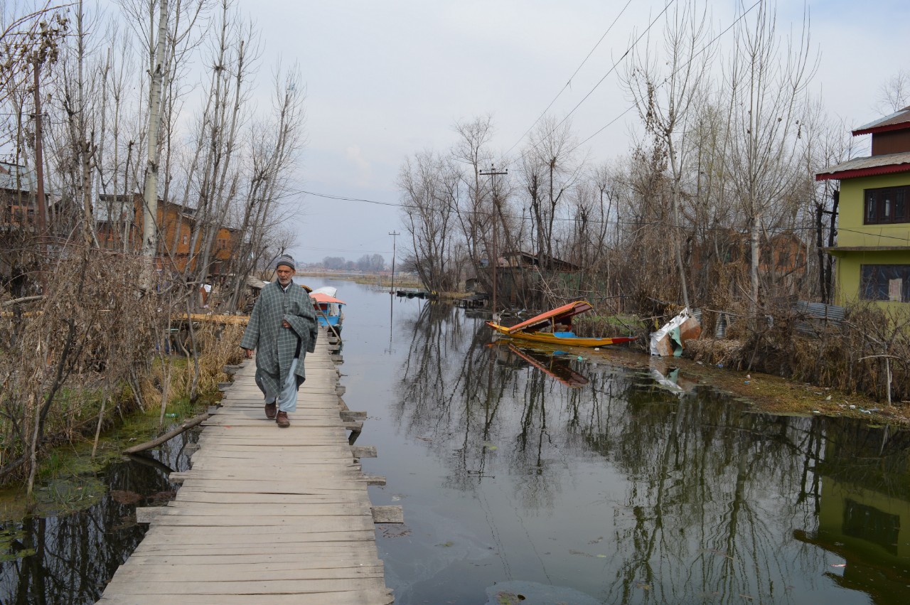 Srinagar’s water bodies vulnerable