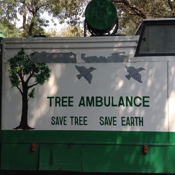 Gurugram gets its first tree ambulance