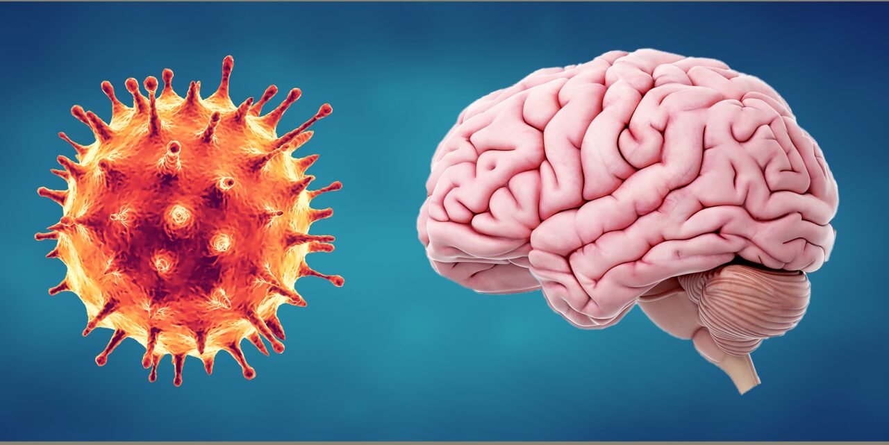 Coronavirus can affect brain: US study