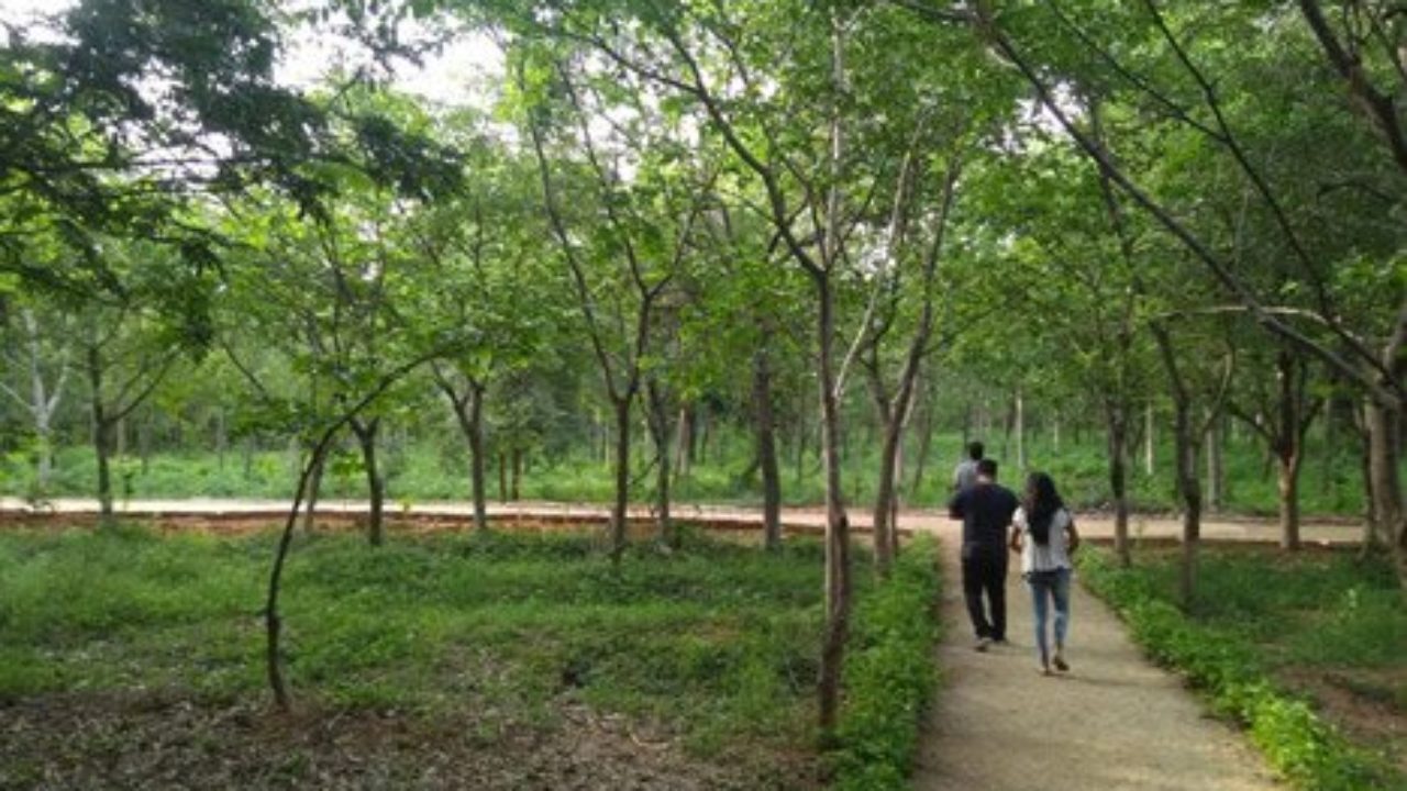 Another urban forest park all set to open in Hyderabad