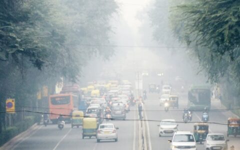 Delhi to redevelop roads, improve water supply and air quality