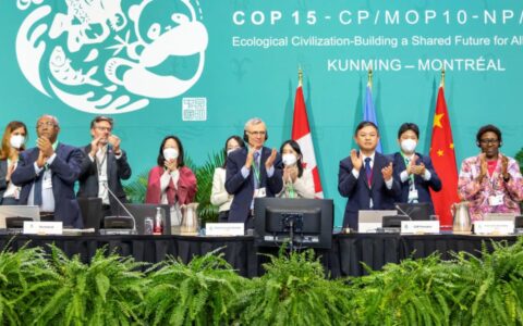 MONTREAL, Canada: The countries have reached a consensus resulting in a historic deal on Monday, December 19, at the 15th Conference of Parties (COP15) held in Montreal, Canada, regarding the conservation of land, ocean, and providing finance for the conservation of biodiversity in the developing countries.