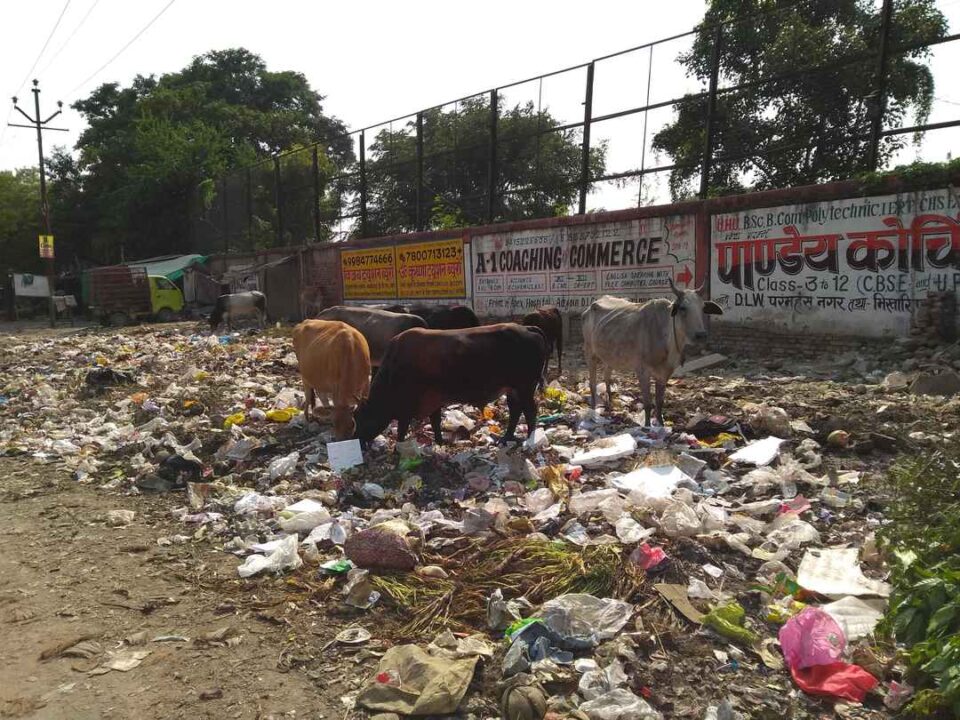 Improper waste management to be fined in Uttar Pradesh