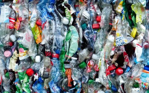 Local bodies seize 116 tonnes of banned single-use plastic in Tamil Nadu