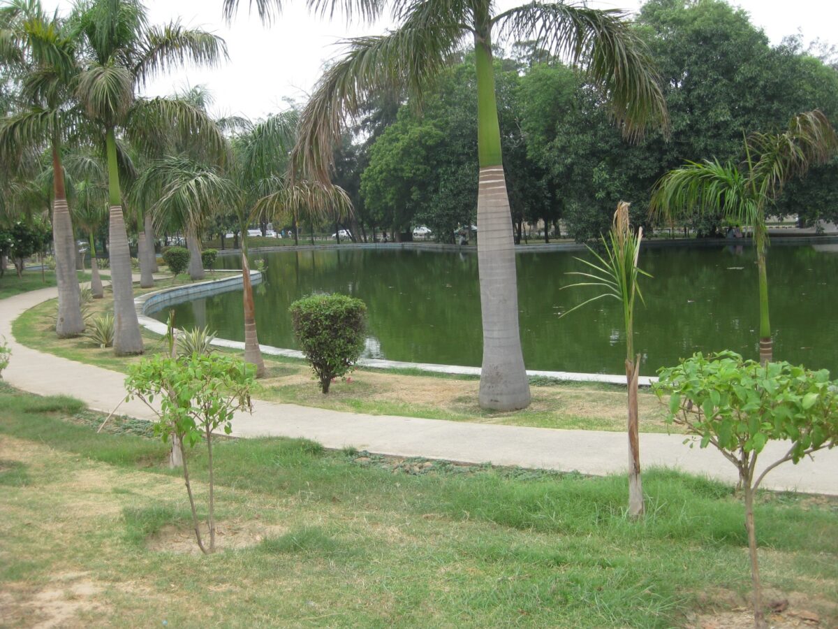 NDMC to rejuvenate water body in Chanakyapuri’s Nehru Park