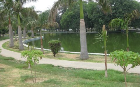 NDMC to rejuvenate water body in Chanakyapuri’s Nehru Park