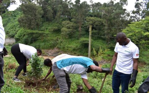 Bhupender Yadav: 52 crore trees planted under ‘ Ek Ped Maa Ke Naam’ Campaign